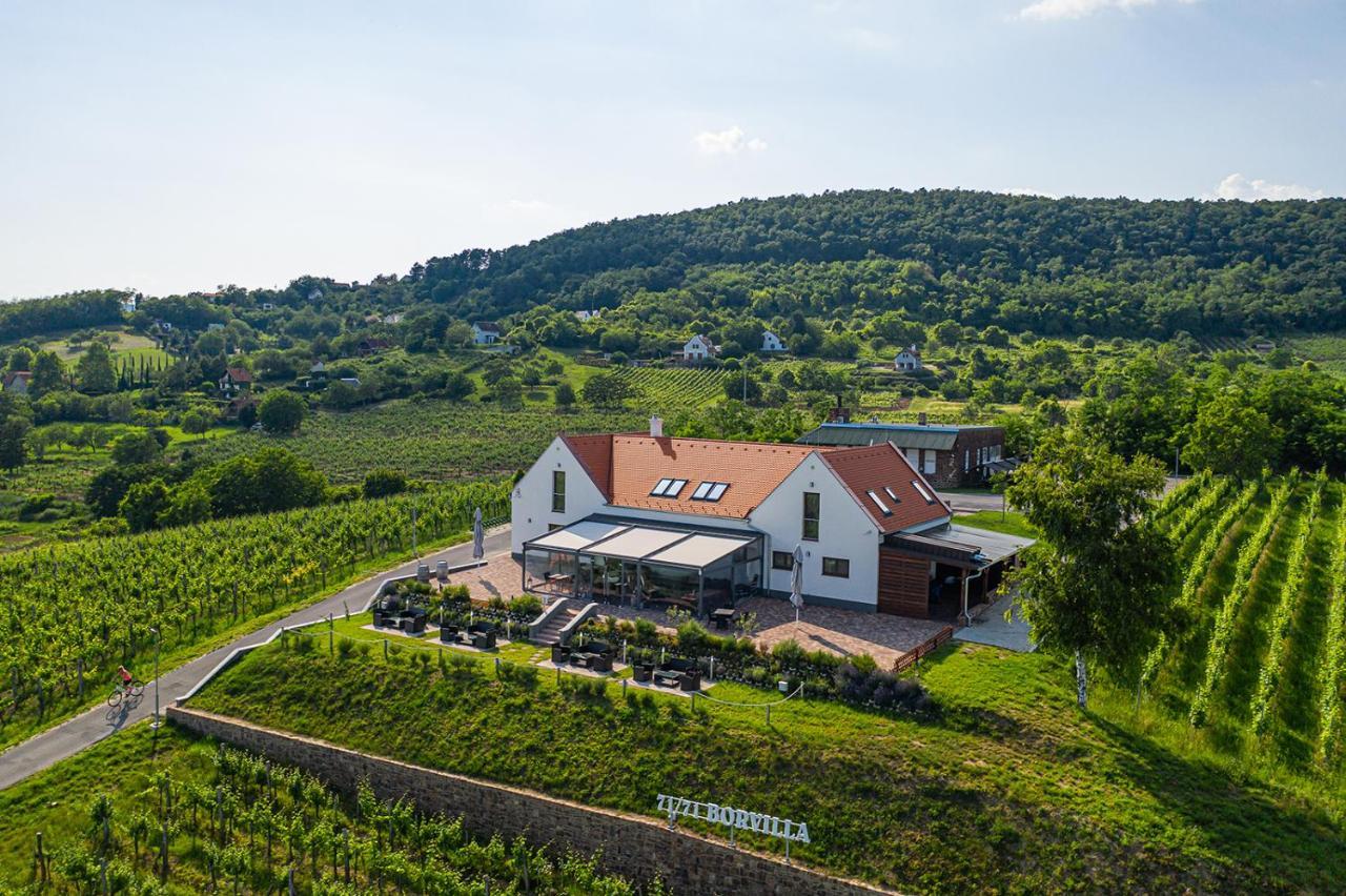 Hotel Vitis Kúria 7171 Balatonrendes Exterior foto